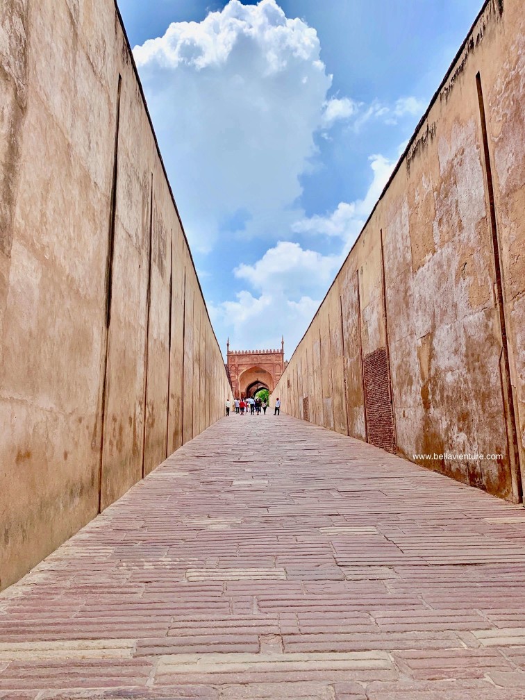 印度 india 阿格拉 Agra 阿格拉堡 Agra Fort 印度 india 阿格拉 Agra 阿格拉堡 Agra Fort