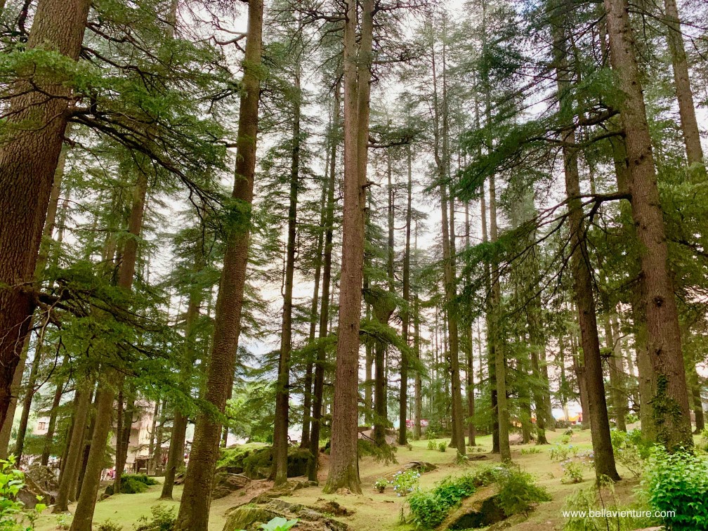 印度 India 馬納利 Manali 喜馬拉雅山 Mountain himalaya 舊馬納利 Old Manali 哈丁巴寺 Hadimba Temple 印度 India 馬納利 Manali 喜馬拉雅山 Mountain himalaya 舊馬納利 Old Manali 哈丁巴寺 Hadimba Temple