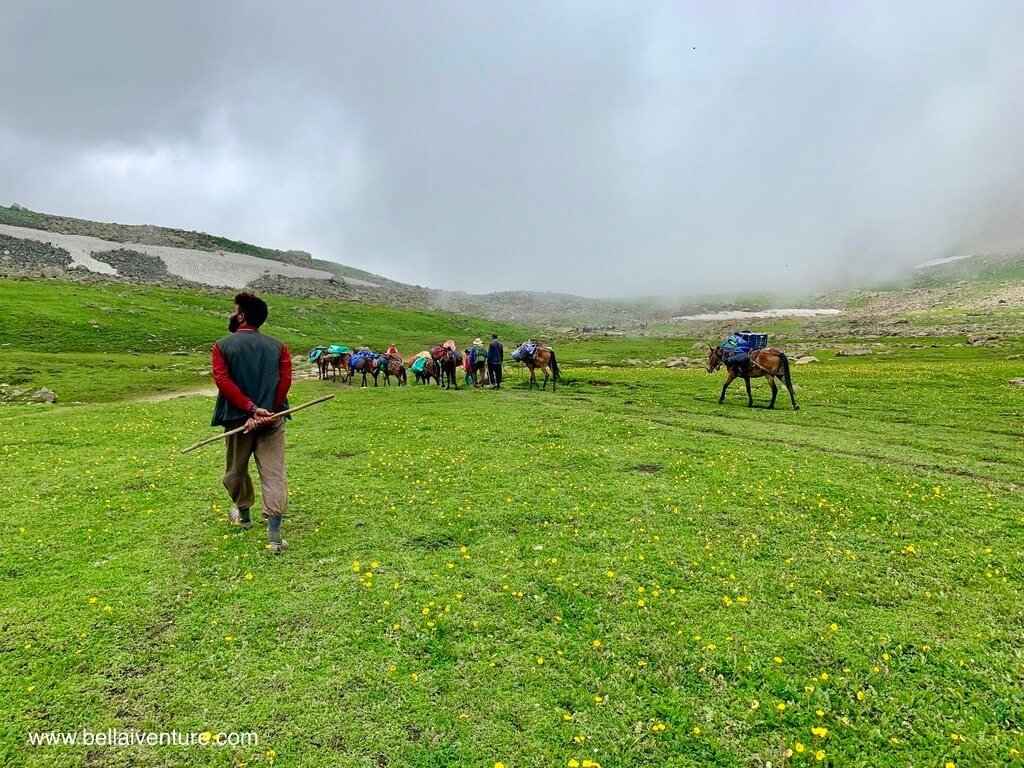印度 India 北北印 North India 喀什米爾 Kashmir 大湖健行 trekking Kashmir Great Lakes Trek 越過草原 印度 India 北北印 North India 喀什米爾 Kashmir 大湖健行 trekking Kashmir Great Lakes Trek 越過草原