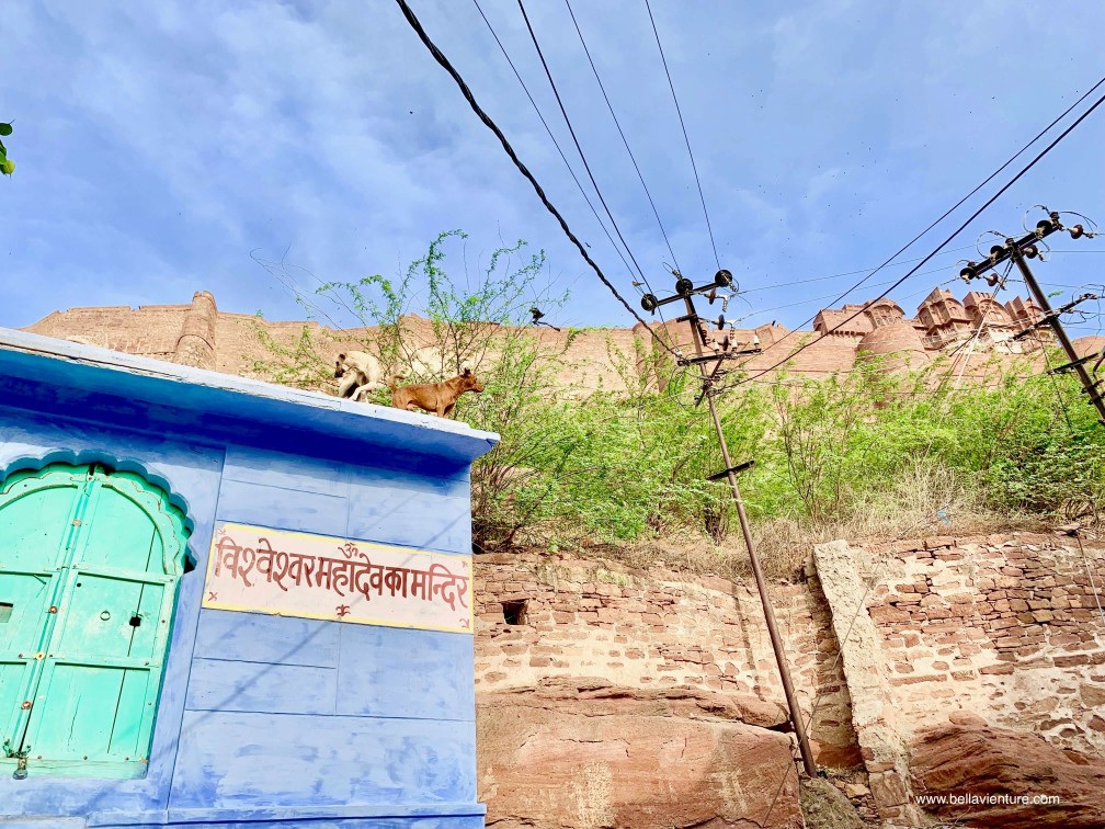 焦特普爾 Jodhpur 藍色城市 Blue city 街道 street view 焦特普爾 Jodhpur 藍色城市 Blue city 街道 street view