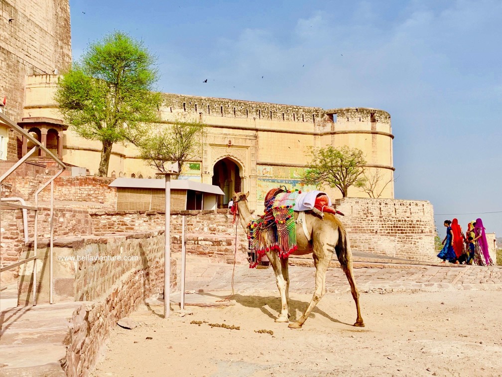 焦特普爾 Jodhpur 藍色城市 Blue city 梅蘭加爾城堡 Mehrangarh Fort 焦特普爾 Jodhpur 藍色城市 Blue city 梅蘭加爾城堡 Mehrangarh Fort