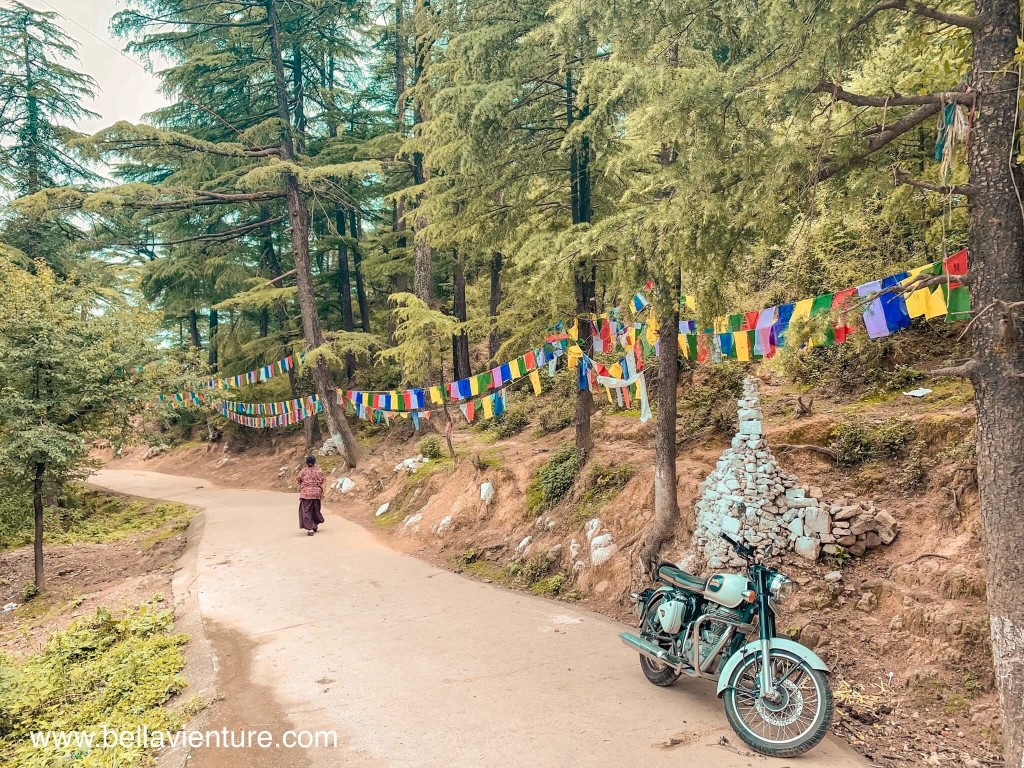 印度india 達蘭薩拉 dharamshala exploing探險 印度india 達蘭薩拉 dharamshala exploing探險