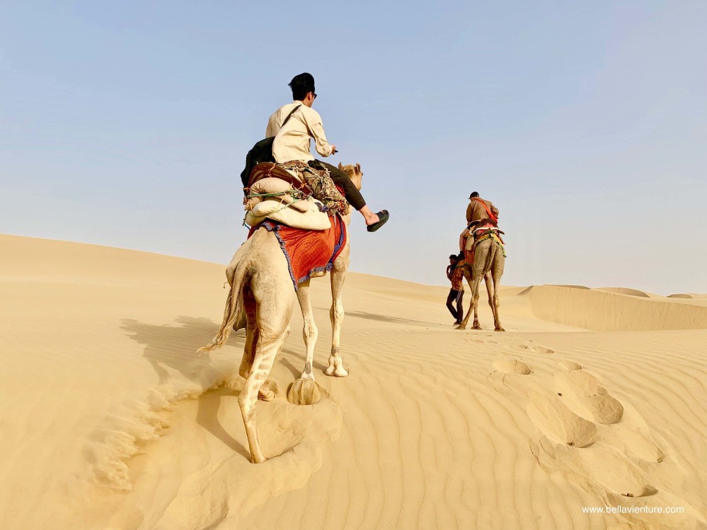 印度 india 賈莎梅爾 jaisalmer 東京宮殿 tokyo palace 沙漠駱駝行 camel safari 印度 india 賈莎梅爾 jaisalmer 東京宮殿 tokyo palace 沙漠駱駝行 camel safari