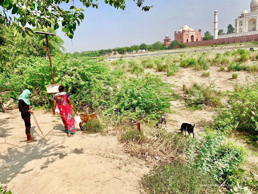 印度 india 阿格拉 Agra 月光花園 Mehtab Bagh 印度 india 阿格拉 Agra 月光花園 Mehtab Bagh