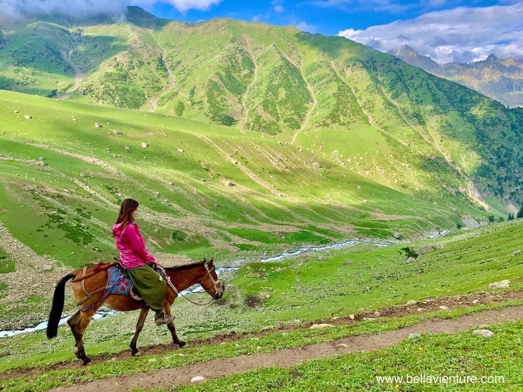 印度 india 喀什米爾 kashmir 大湖健行big lake treakking 馬兒與美麗的山景 印度 india 喀什米爾 kashmir 大湖健行big lake treakking 馬兒與美麗的山景