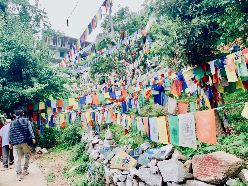 印度india 達蘭薩拉 dharamshala exploing探險 印度india 達蘭薩拉 dharamshala exploing探險