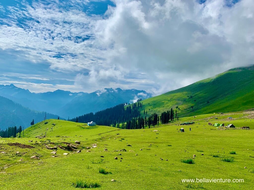 印度 India 喀什米爾 Kashmir 大湖健行 Great lake trekking 寬廣的山坡草原 印度 India 喀什米爾 Kashmir 大湖健行 Great lake trekking 寬廣的山坡草原