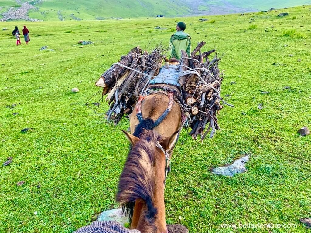 印度 india 喀什米爾 kashmir 大湖健行big lake treakking 捆滿枯枝的馬兒 印度 india 喀什米爾 kashmir 大湖健行big lake treakking 捆滿枯枝的馬兒