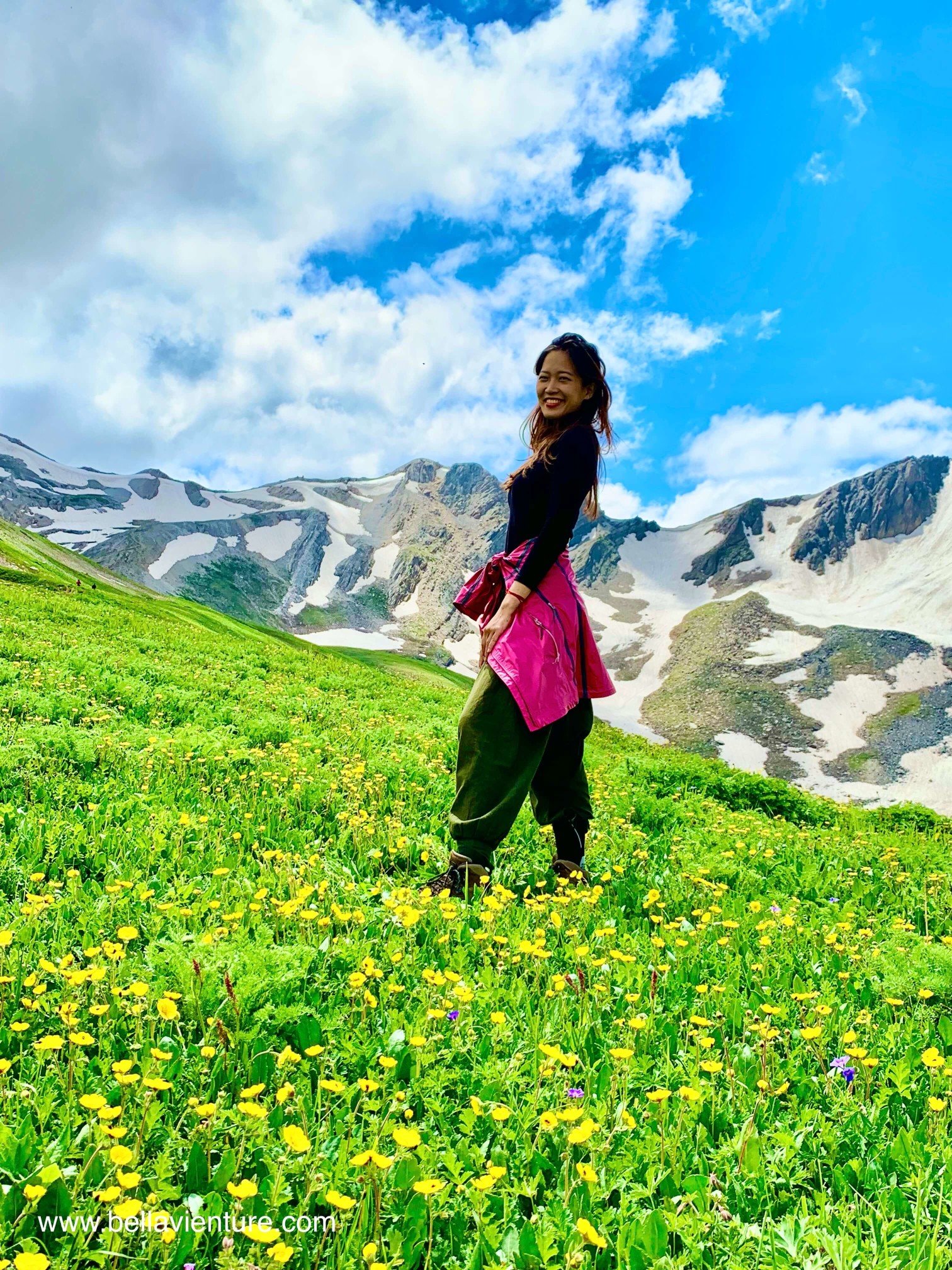 印度India 北北印 North India 喀什米爾 Kashmir 大湖健行 trekking 黃花 印度India 北北印 North India 喀什米爾 Kashmir 大湖健行 trekking 黃花