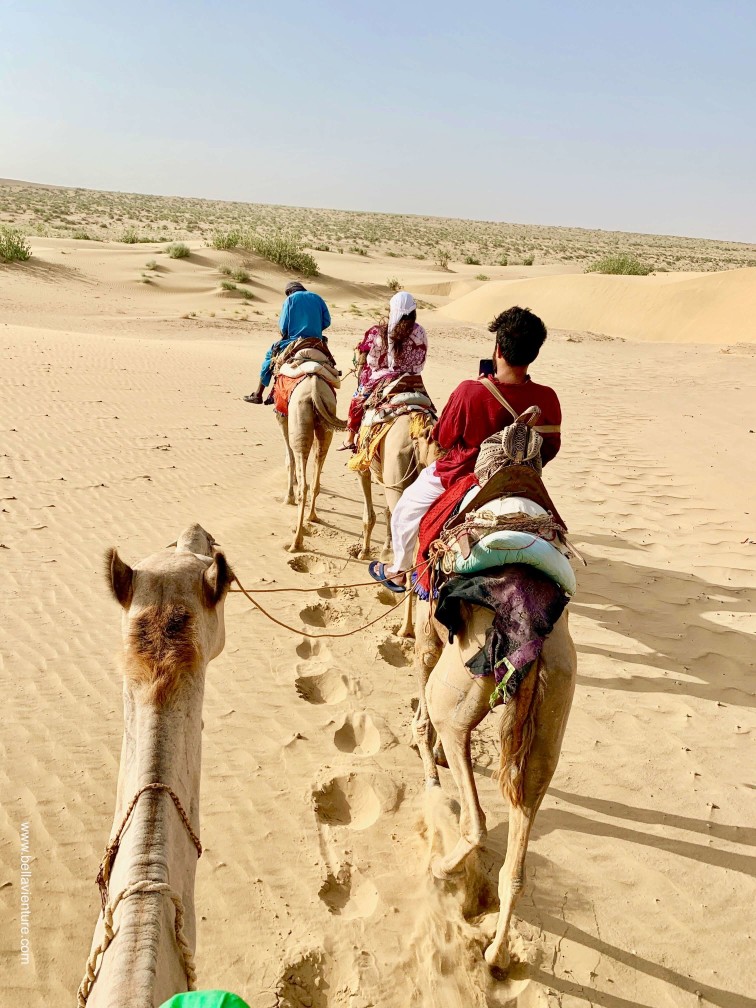 印度 india 賈莎梅爾 jaisalmer 沙漠 desert 駱駝 camel safari 日出 sunrise 印度 india 賈莎梅爾 jaisalmer 沙漠 desert 駱駝 camel safari 日出 sunrise