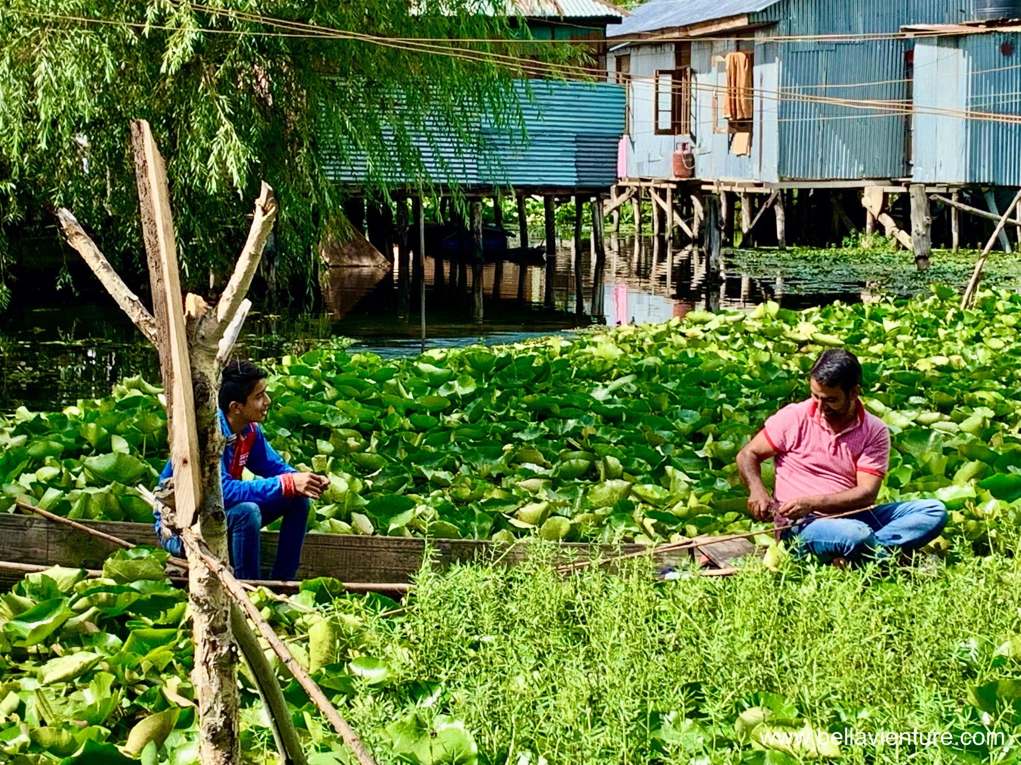 印度 India 北印度North india 喜馬拉雅 Himalayas 喀什米爾 Kashmir 船屋 boathouse 釣魚父子 印度 India 北印度North india 喜馬拉雅 Himalayas 喀什米爾 Kashmir 船屋 boathouse 釣魚父子