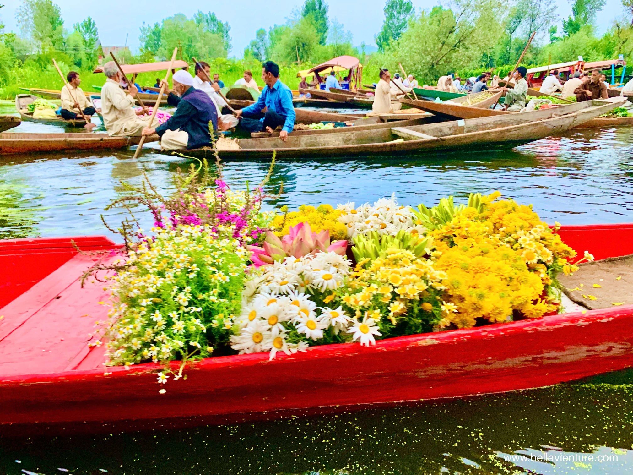 北北印 印度 India 喀什米爾 Kashmir 水上市集 Floating market 鮮花 北北印 印度 India 喀什米爾 Kashmir 水上市集 Floating market 鮮花