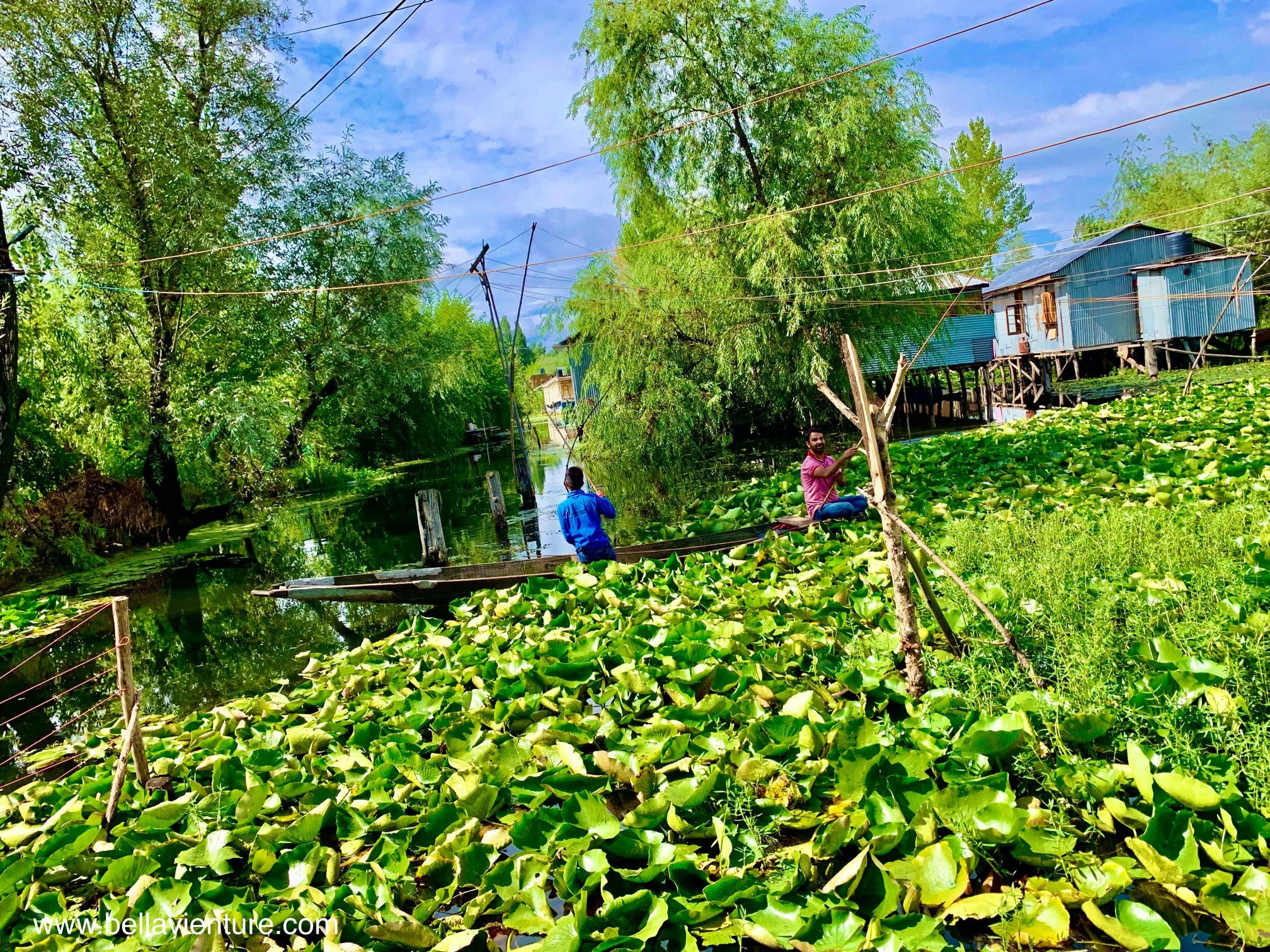 印度 India 北印度North india 喜馬拉雅 Himalayas 喀什米爾 Kashmir 船屋 boathouse 印度 India 北印度North india 喜馬拉雅 Himalayas 喀什米爾 Kashmir 船屋 boathouse
