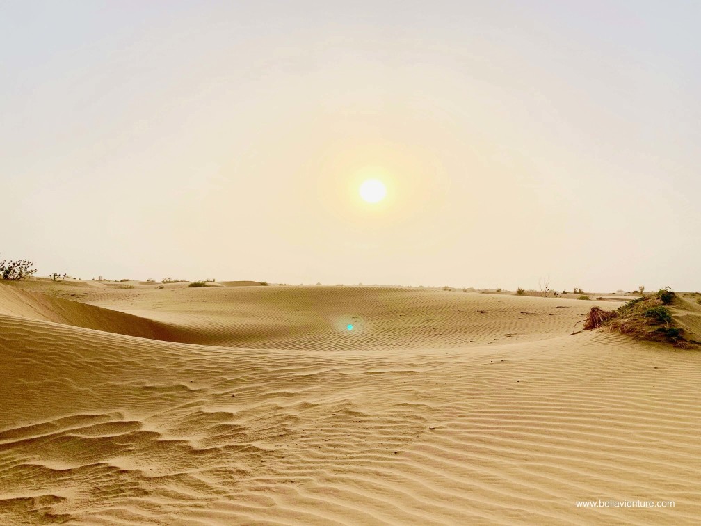 印度 india 賈莎梅爾 jaisalmer 東京宮殿 tokyo palace 沙漠駱駝行 camel safari 印度 india 賈莎梅爾 jaisalmer 東京宮殿 tokyo palace 沙漠駱駝行 camel safari