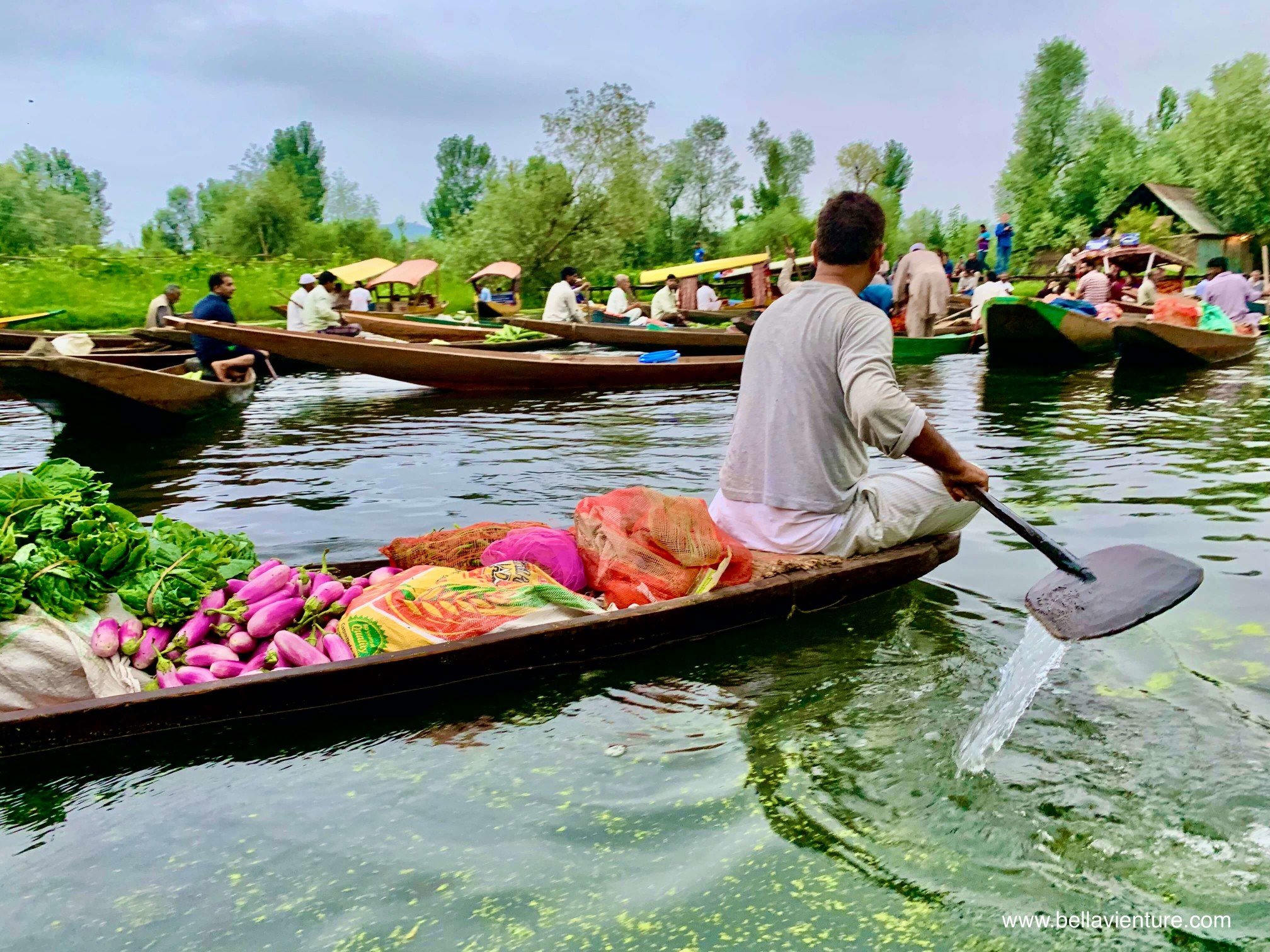 北北印 印度 India 喀什米爾 Kashmir 水上市集 Floating market 清晨 北北印 印度 India 喀什米爾 Kashmir 水上市集 Floating market 清晨