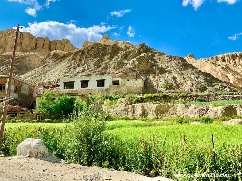印度 India 北印度North india 喜馬拉雅 Himalayas 拉達克 Ladakh 列城 Leh 卡爾吉爾 Kargil 印度 India 北印度North india 喜馬拉雅 Himalayas 拉達克 Ladakh 列城 Leh 卡爾吉爾 Kargil