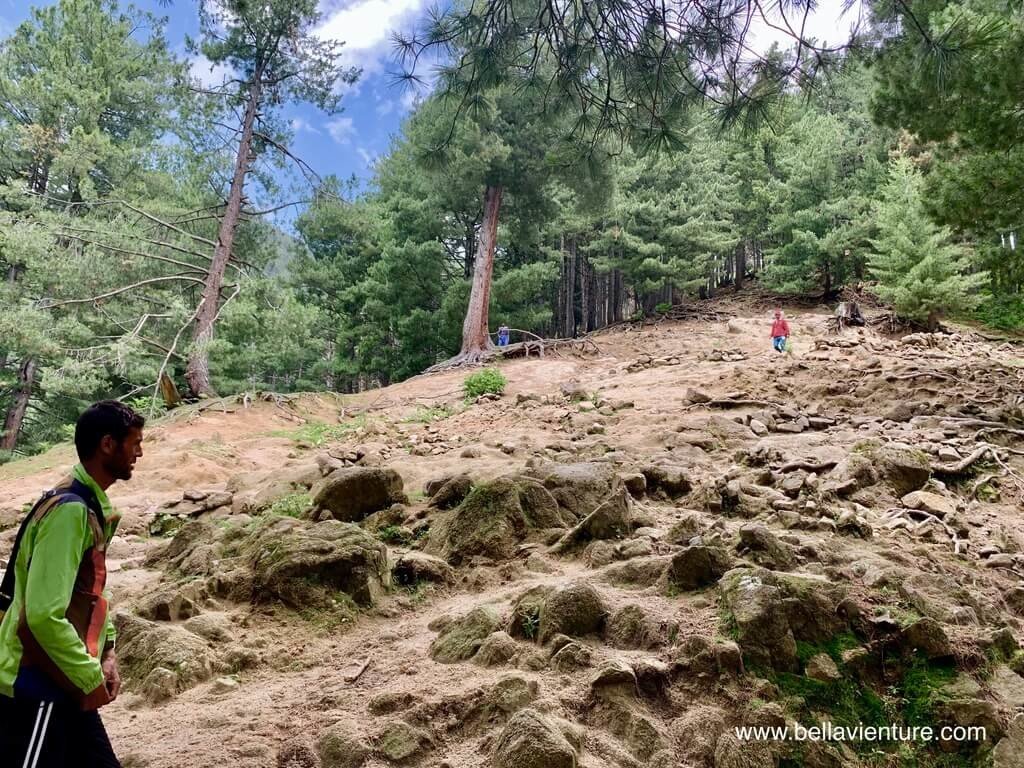 印度 India 喀什米爾 Kashmir 大湖健行 Great lake trekking 陡峭的山坡 印度 India 喀什米爾 Kashmir 大湖健行 Great lake trekking 陡峭的山坡