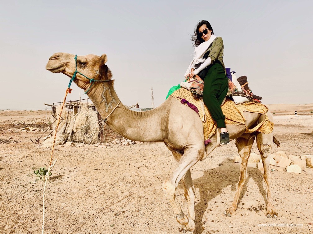 印度 india 賈莎梅爾 jaisalmer 東京宮殿 tokyo palace 沙漠駱駝行 camel safari 印度 india 賈莎梅爾 jaisalmer 東京宮殿 tokyo palace 沙漠駱駝行 camel safari