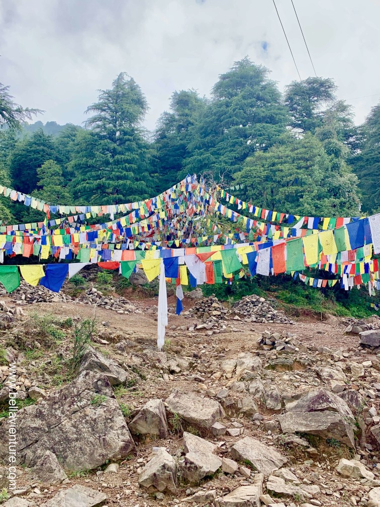 印度India 達蘭薩拉 Dharamshala 北印度 North India country side 印度India 達蘭薩拉 Dharamshala 北印度 North India country side