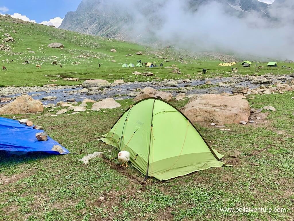 印度 India 北北印 North India 喀什米爾 Kashmir 大湖健行 trekking Kashmir Great Lakes Trek 我的帳篷與雞 印度 India 北北印 North India 喀什米爾 Kashmir 大湖健行 trekking Kashmir Great Lakes Trek 我的帳篷與雞