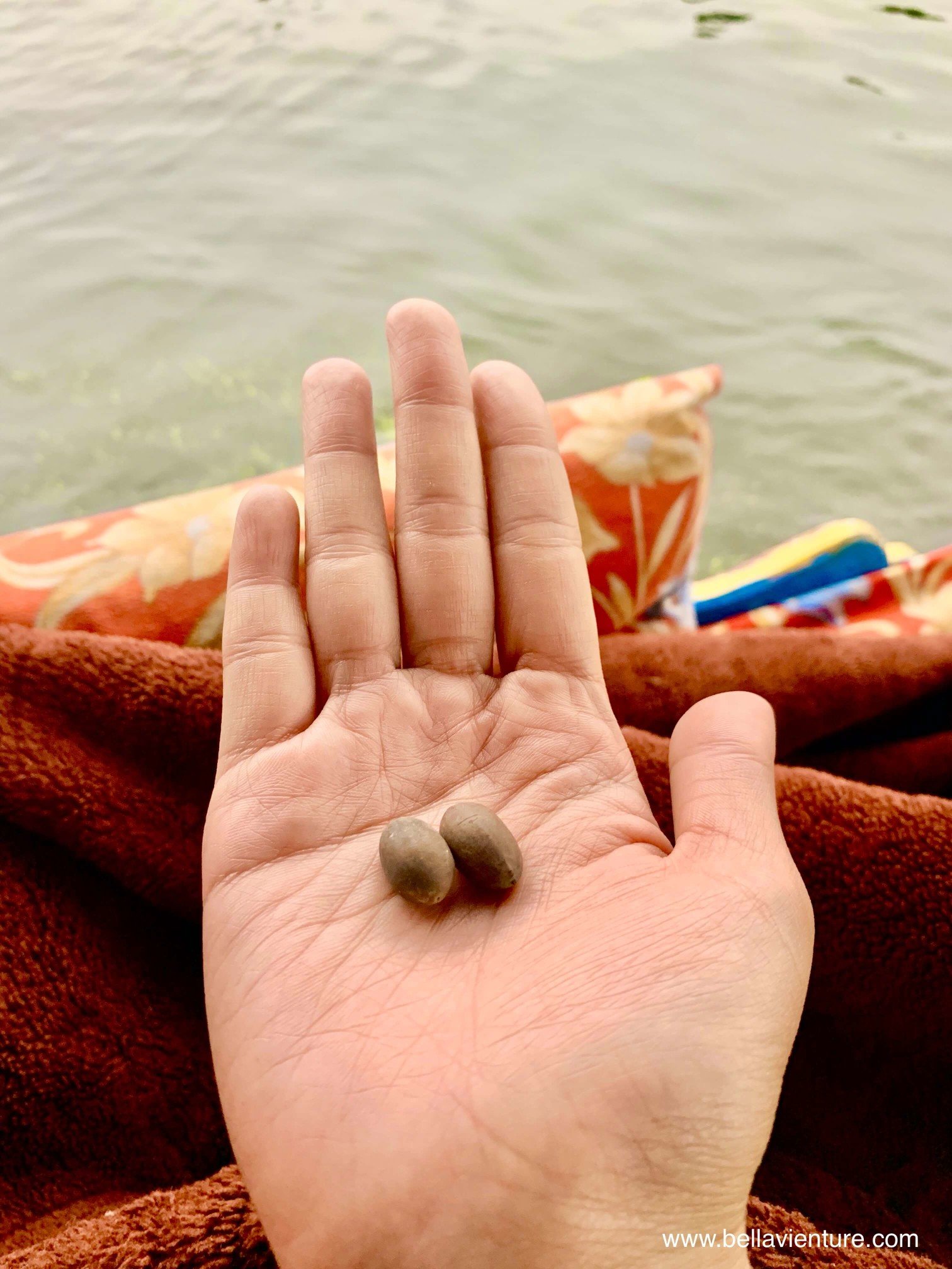 北北印 印度 India 喀什米爾 Kashmir 水上市集 Floating market 清晨 Lotus seed 蓮花種子 北北印 印度 India 喀什米爾 Kashmir 水上市集 Floating market 清晨 Lotus seed 蓮花種子