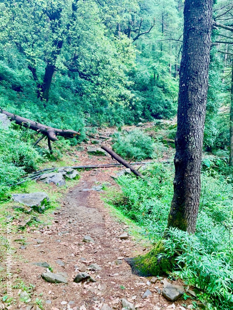 印度India 達蘭薩拉 Dharamshala 北印度 North India country side 印度India 達蘭薩拉 Dharamshala 北印度 North India country side