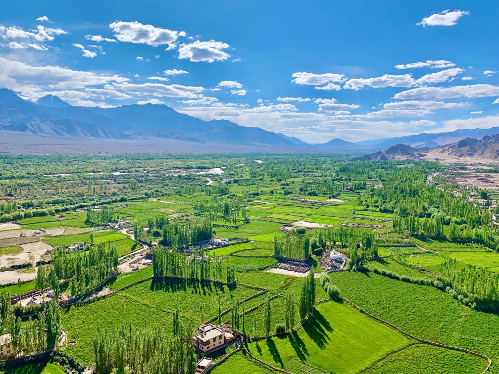 印度 India 北印度North india 喜馬拉雅 Himalayas 拉達克 Ladakh 列城 Leh 東部 上拉達克 Stod(Upper Ladakh) 卓蘭沙 Choglamsar 雪依寺Shey Gompa 印度 India 北印度North india 喜馬拉雅 Himalayas 拉達克 Ladakh 列城 Leh 東部 上拉達克 Stod(Upper Ladakh) 卓蘭沙 Choglamsar 雪依寺Shey Gompa