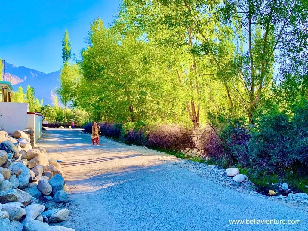 印度 India 北印度North india 喜馬拉雅 Himalayas 拉達克 Ladakh 列城 Leh 努布拉山谷 Nubra Valley 印度 India 北印度North india 喜馬拉雅 Himalayas 拉達克 Ladakh 列城 Leh 努布拉山谷 Nubra Valley