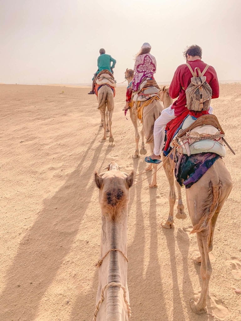 印度 india 賈莎梅爾 jaisalmer 沙漠 desert 駱駝 camel safari 日出 sunrise 印度 india 賈莎梅爾 jaisalmer 沙漠 desert 駱駝 camel safari 日出 sunrise