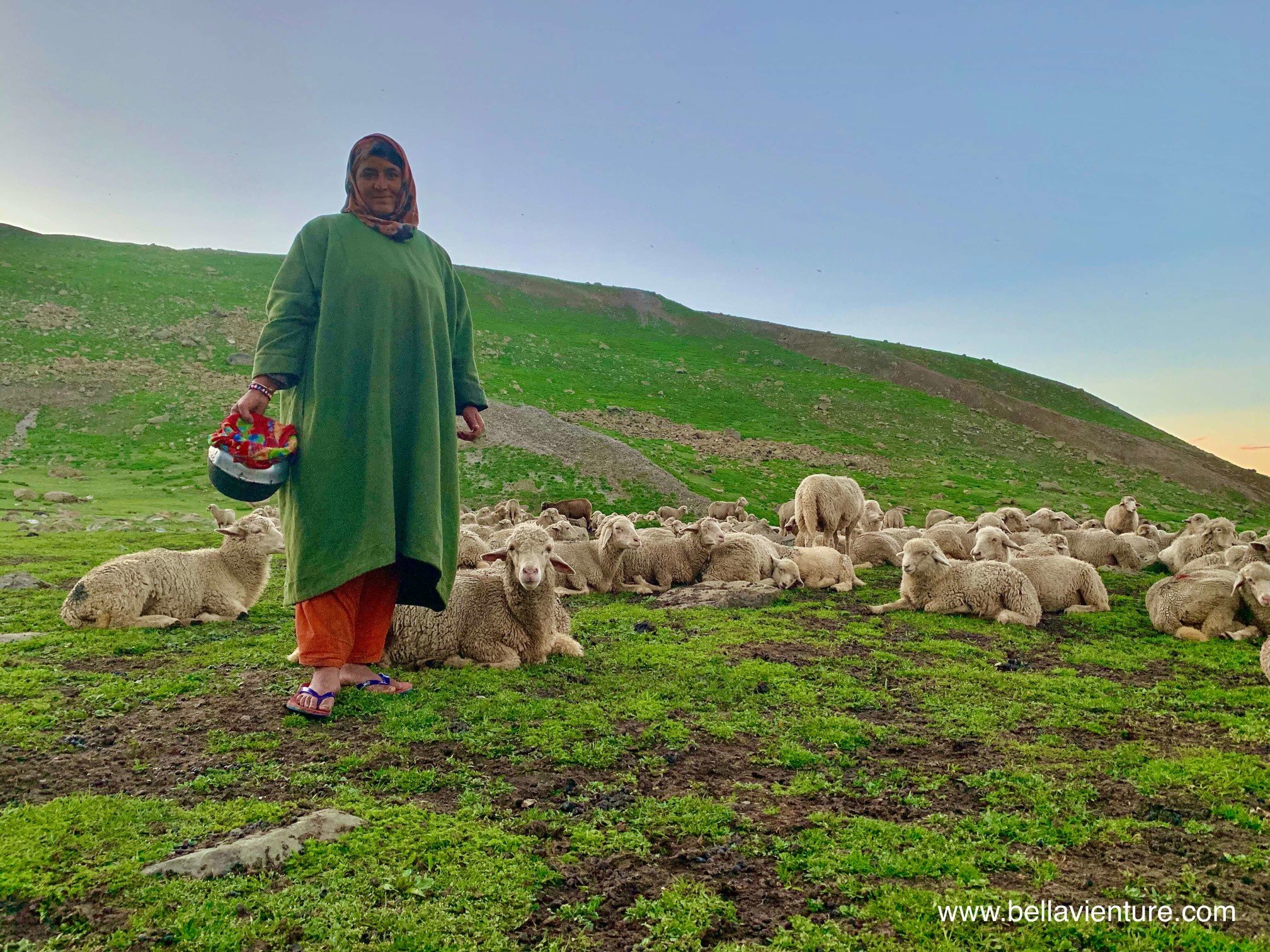 印度 India 北北印 North India 喀什米爾 Kashmir 八天七夜 健行 Nichnai Valley 羊群與牧羊女 印度 India 北北印 North India 喀什米爾 Kashmir 八天七夜 健行 Nichnai Valley 羊群與牧羊女