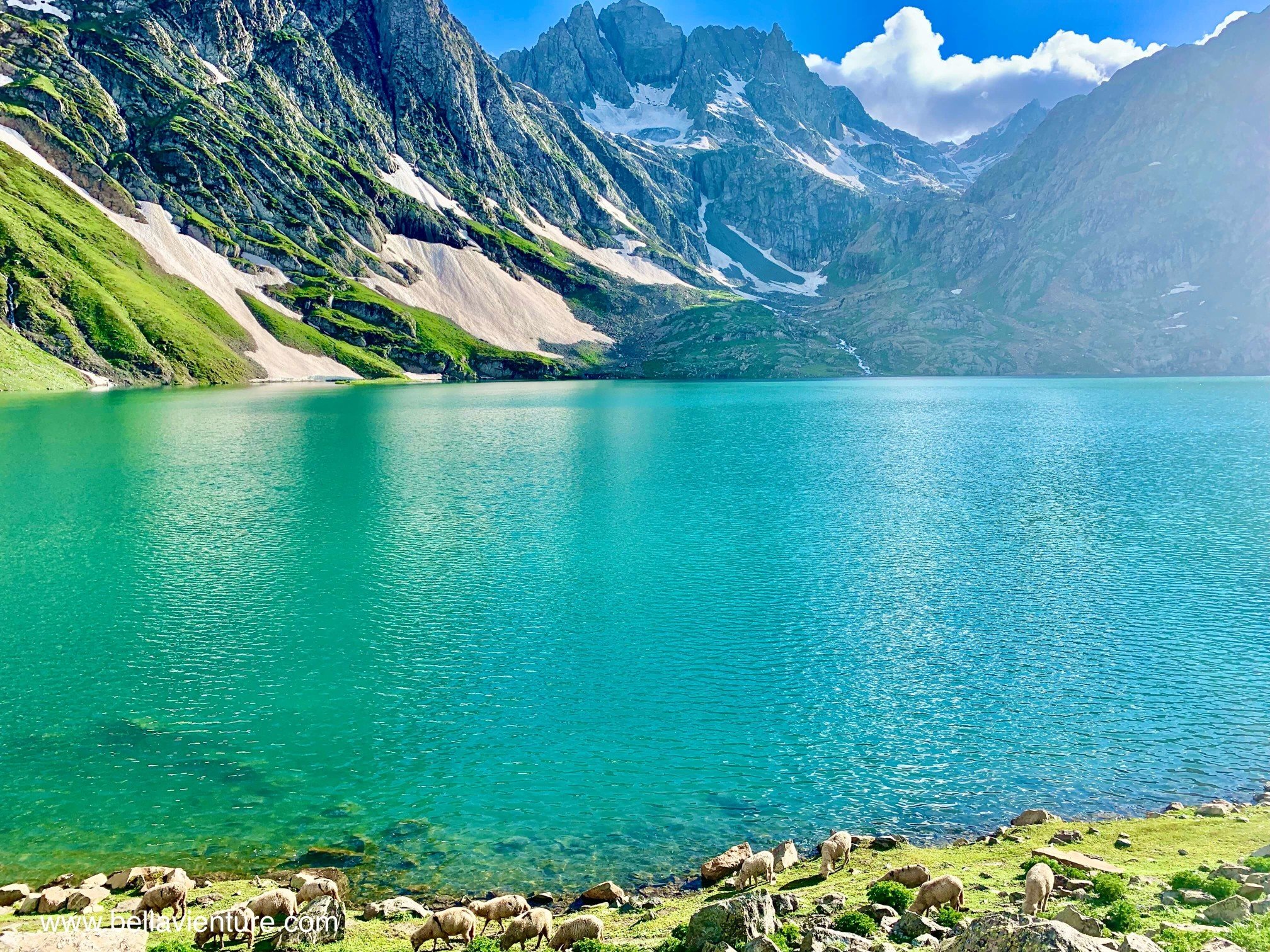 印度 India 北北印 North India 喀什米爾 Kashmir 八天七夜 健行 Nichnai Valley 超藍聖湖 印度 India 北北印 North India 喀什米爾 Kashmir 八天七夜 健行 Nichnai Valley 超藍聖湖