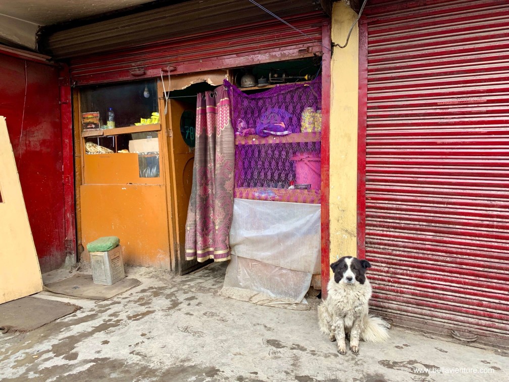 印度 India 北印度North india 喜馬拉雅 Himalayas 拉達克 Ladakh 列城 Leh 早餐 印度 India 北印度North india 喜馬拉雅 Himalayas 拉達克 Ladakh 列城 Leh 早餐