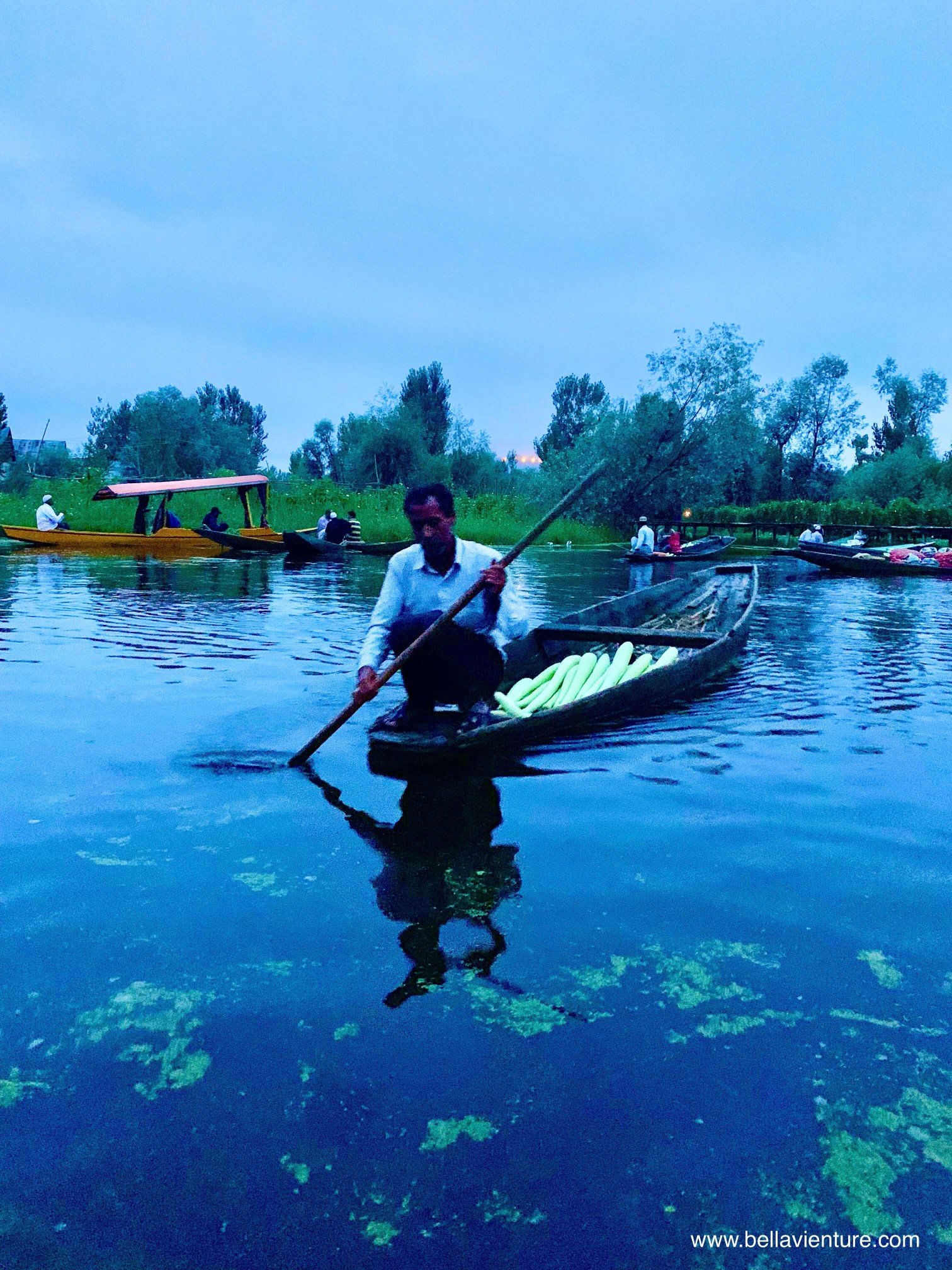 北北印 印度 India 喀什米爾 Kashmir 水上市集 Floating market 清晨 北北印 印度 India 喀什米爾 Kashmir 水上市集 Floating market 清晨