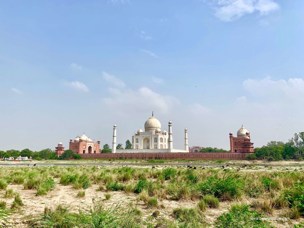 印度 india 阿格拉 Agra 月光花園 Mehtab Bagh 印度 india 阿格拉 Agra 月光花園 Mehtab Bagh