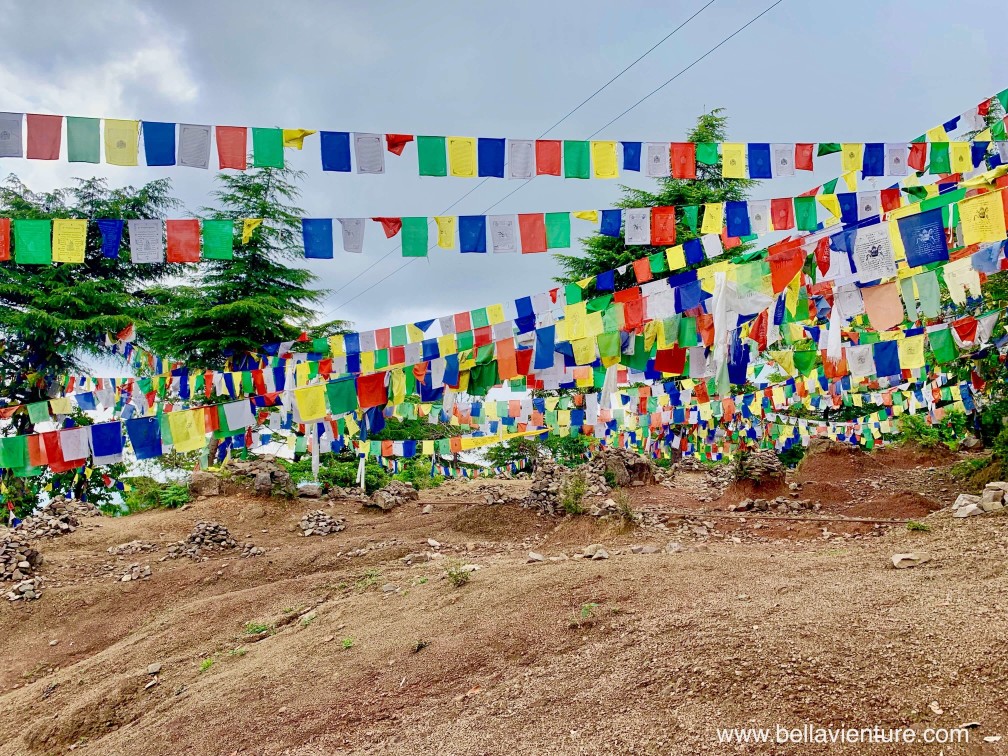 印度India 達蘭薩拉 Dharamshala 北印度 North India country side 印度India 達蘭薩拉 Dharamshala 北印度 North India country side