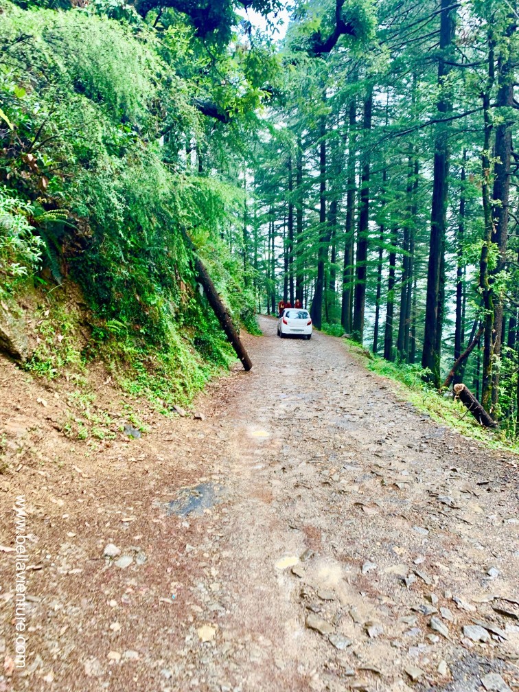 印度India 達蘭薩拉 Dharamshala 北印度 North India country side 印度India 達蘭薩拉 Dharamshala 北印度 North India country side