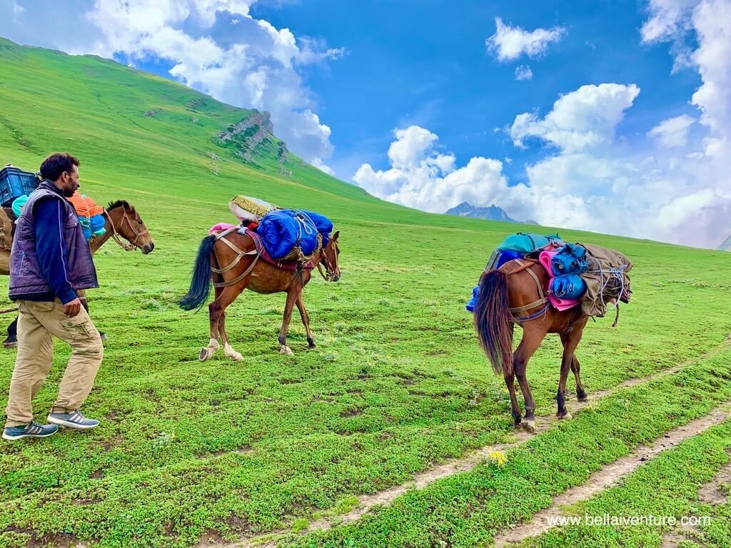 印度 India 北北印 North India 喀什米爾 Kashmir 大湖健行 trekking Kashmir Great Lakes Trek 馬夫趕路 印度 India 北北印 North India 喀什米爾 Kashmir 大湖健行 trekking Kashmir Great Lakes Trek 馬夫趕路