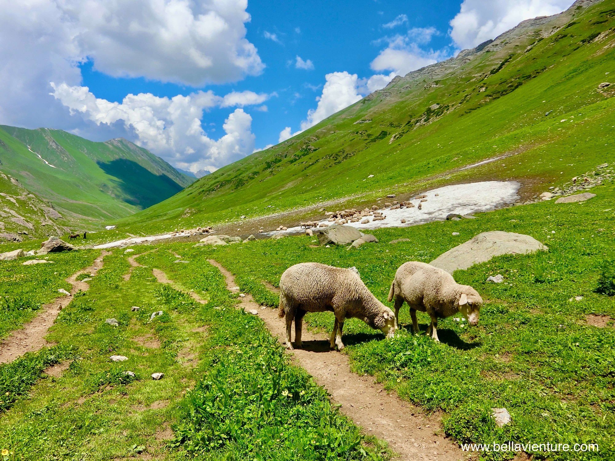 印度India 北北印 North India 喀什米爾 Kashmir 大湖健行 trekking 牧羊群 印度India 北北印 North India 喀什米爾 Kashmir 大湖健行 trekking 牧羊群