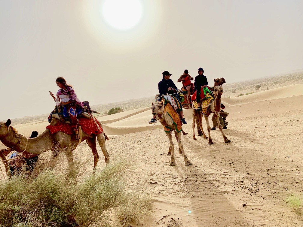 印度 india 賈莎梅爾 jaisalmer 東京宮殿 tokyo palace 沙漠駱駝行 camel safari 印度 india 賈莎梅爾 jaisalmer 東京宮殿 tokyo palace 沙漠駱駝行 camel safari