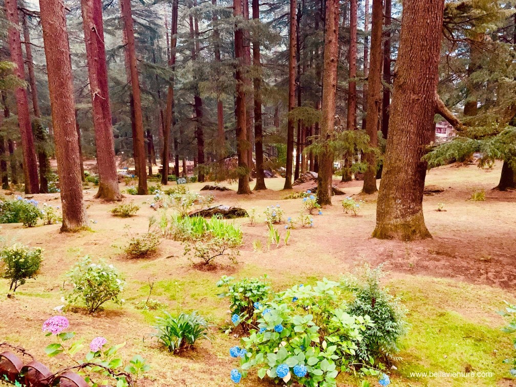 印度 India 馬納利 Manali 喜馬拉雅山 Mountain himalaya 舊馬納利 Old Manali 哈丁巴寺 Hadimba Temple 印度 India 馬納利 Manali 喜馬拉雅山 Mountain himalaya 舊馬納利 Old Manali 哈丁巴寺 Hadimba Temple