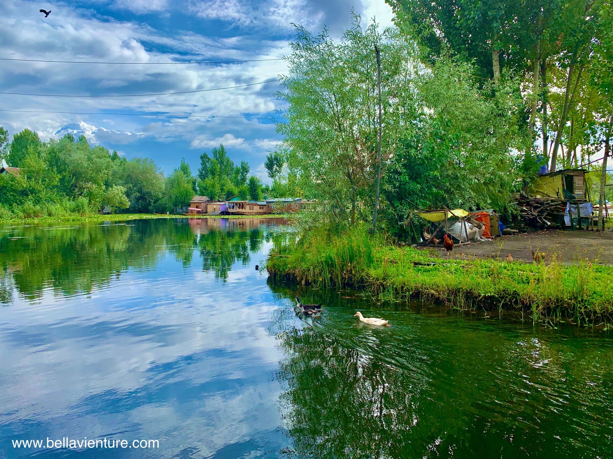 印度 India 北印度North india 喜馬拉雅 Himalayas 喀什米爾 Kashmir 船屋 boathouse 印度 India 北印度North india 喜馬拉雅 Himalayas 喀什米爾 Kashmir 船屋 boathouse