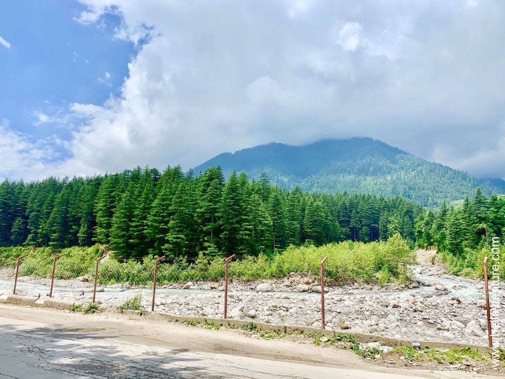 印度 India 馬納利 Manali 瓦希什特 Vashisut 溫泉鄉 hotspring 喜馬拉雅山 Mountain himalaya 印度 India 馬納利 Manali 瓦希什特 Vashisut 溫泉鄉 hotspring 喜馬拉雅山 Mountain himalaya