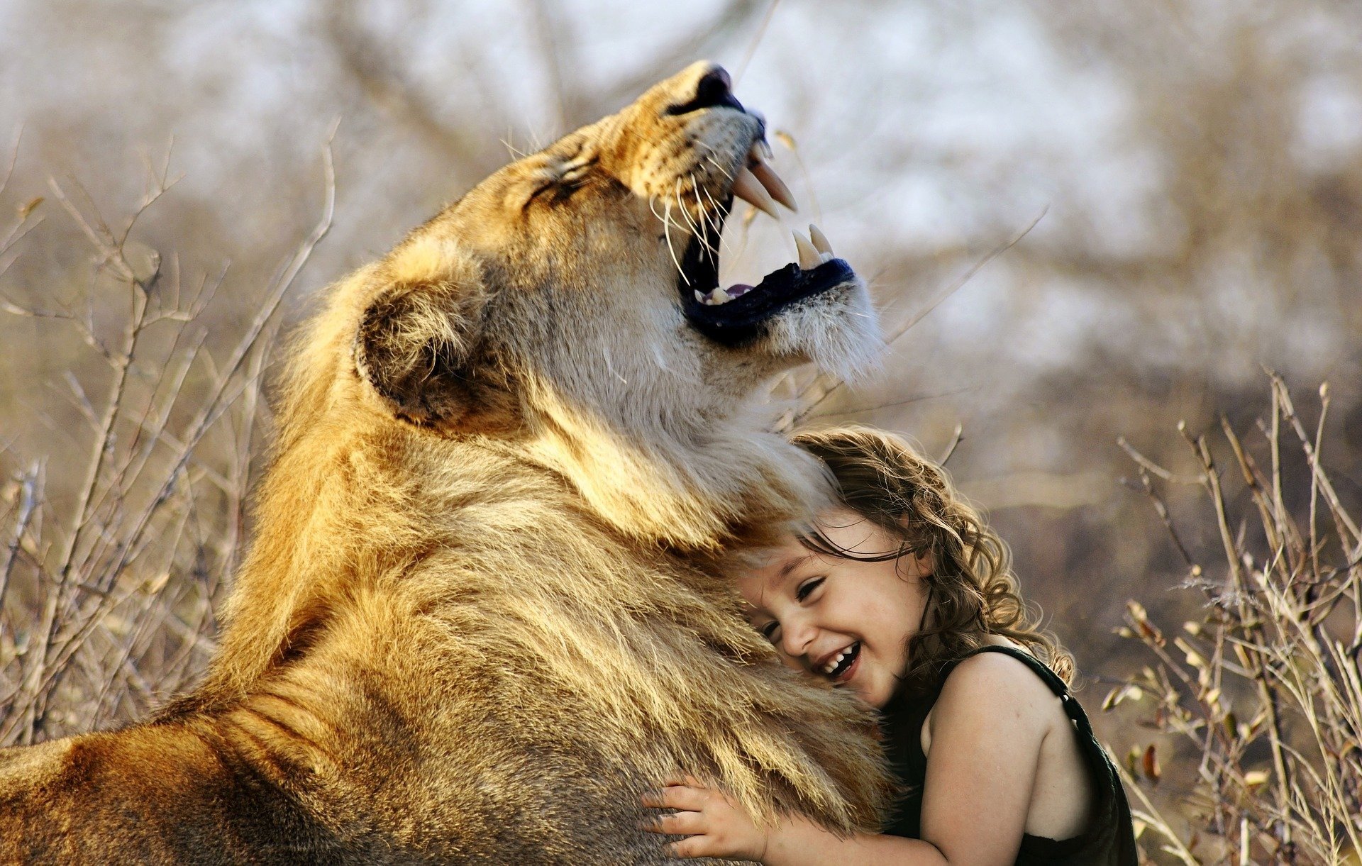 bye together lion child human design 人類圖 bye together lion child human design 人類圖