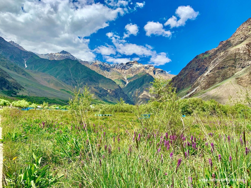 印度 India 北印度North india 喜馬拉雅 Himalayas 拉達克 Ladakh 卡爾吉爾 Kargil 大自然 Nature 印度 India 北印度North india 喜馬拉雅 Himalayas 拉達克 Ladakh 卡爾吉爾 Kargil 大自然 Nature