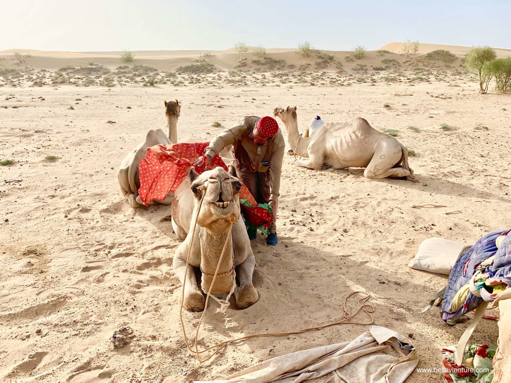 印度 india 賈莎梅爾 jaisalmer 沙漠 desert 駱駝 camel safari 日出 sunrise 印度 india 賈莎梅爾 jaisalmer 沙漠 desert 駱駝 camel safari 日出 sunrise