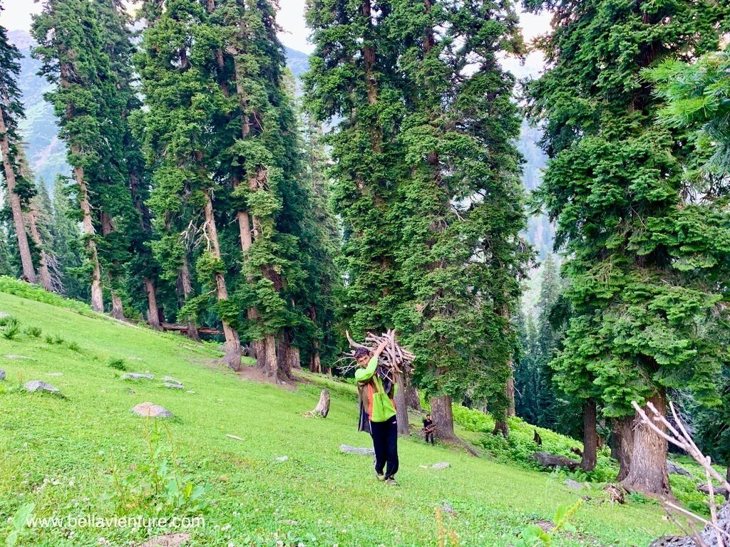 印度 india 喀什米爾 kashmir 大湖健行big lake trekking Manzoor大力士搬枯枝 印度 india 喀什米爾 kashmir 大湖健行big lake trekking Manzoor大力士搬枯枝