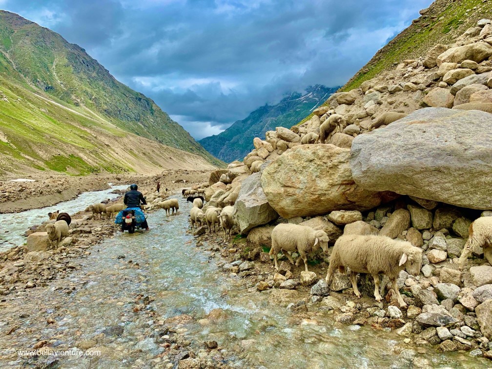 印度 India 北印度North india 馬納利 Manali 喜馬拉雅 Himalayas 斯碧提山谷 Spiti valley 公路旅行 road trip 印度 India 北印度North india 馬納利 Manali 喜馬拉雅 Himalayas 斯碧提山谷 Spiti valley 公路旅行 road trip