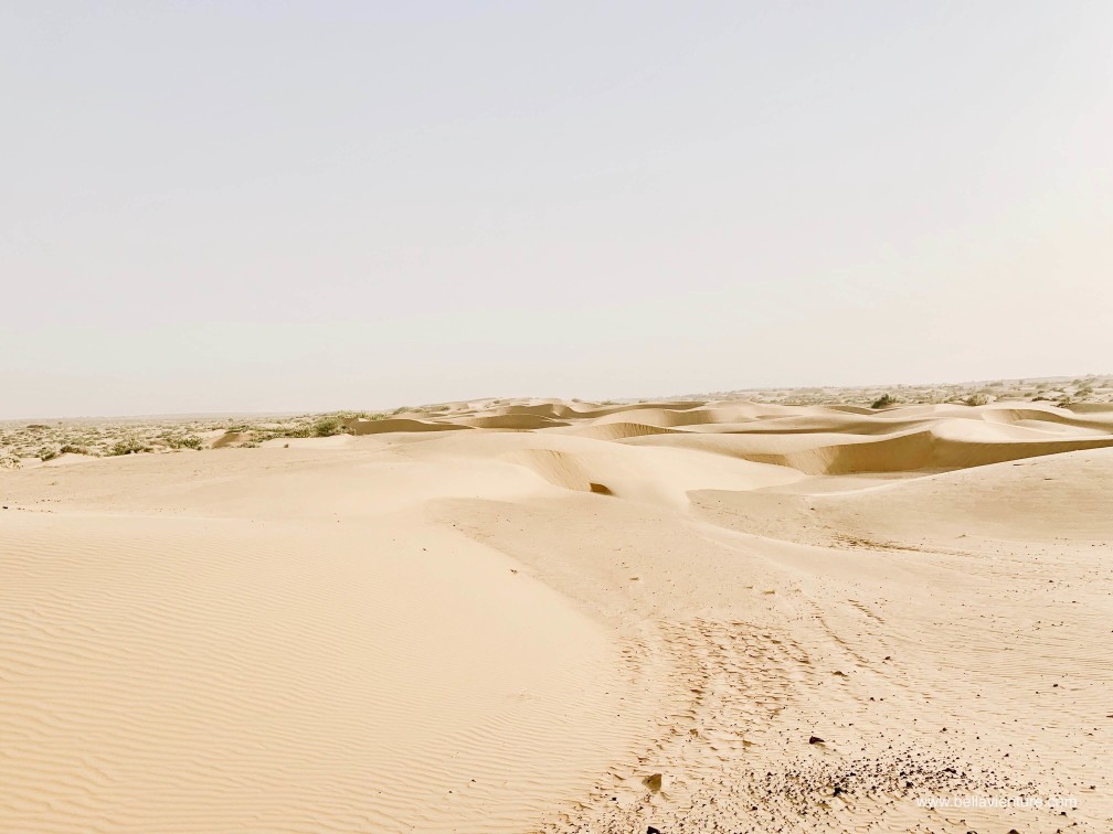 印度 india 賈莎梅爾 jaisalmer 東京宮殿 tokyo palace 沙漠駱駝行 camel safari 印度 india 賈莎梅爾 jaisalmer 東京宮殿 tokyo palace 沙漠駱駝行 camel safari