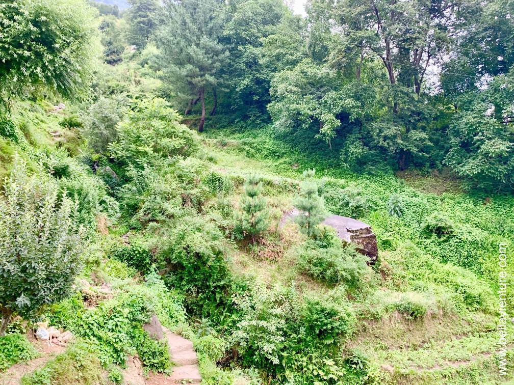 印度India 馬納利 Manali 瓦希什特 Vashisht Airbnb hotspring 印度India 馬納利 Manali 瓦希什特 Vashisht Airbnb hotspring