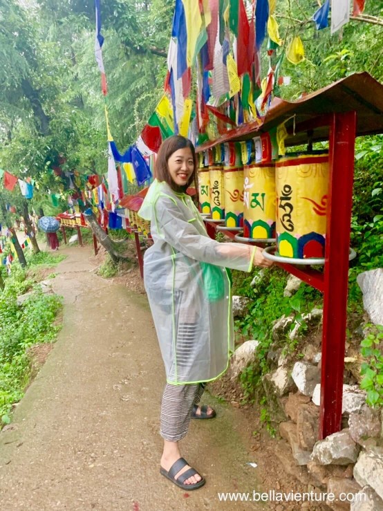 印度India 達蘭薩拉 Dharamshala 北印度 North India 印度India 達蘭薩拉 Dharamshala 北印度 North India